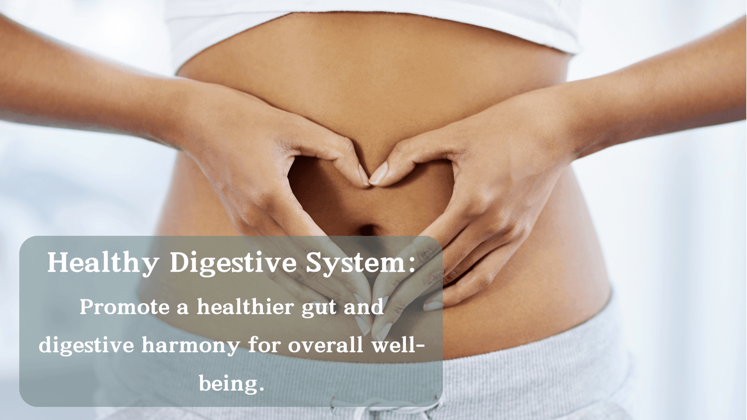 Better Gut - Healthy Body Secret®